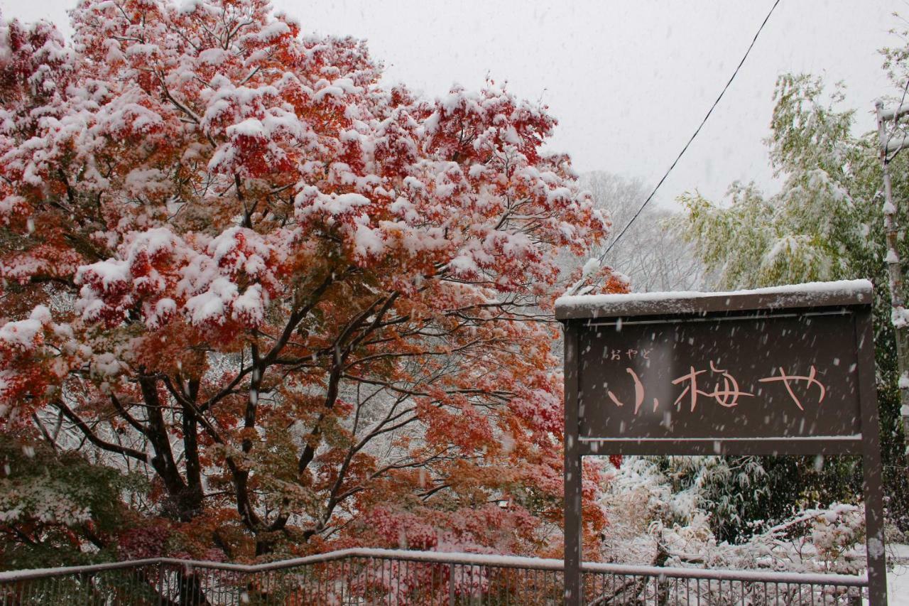 Koumeya Hotel Nasushiobara Bagian luar foto